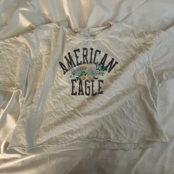 American Eagle Outfitters Tops - American Eagle crop top with flowers embroidered on it